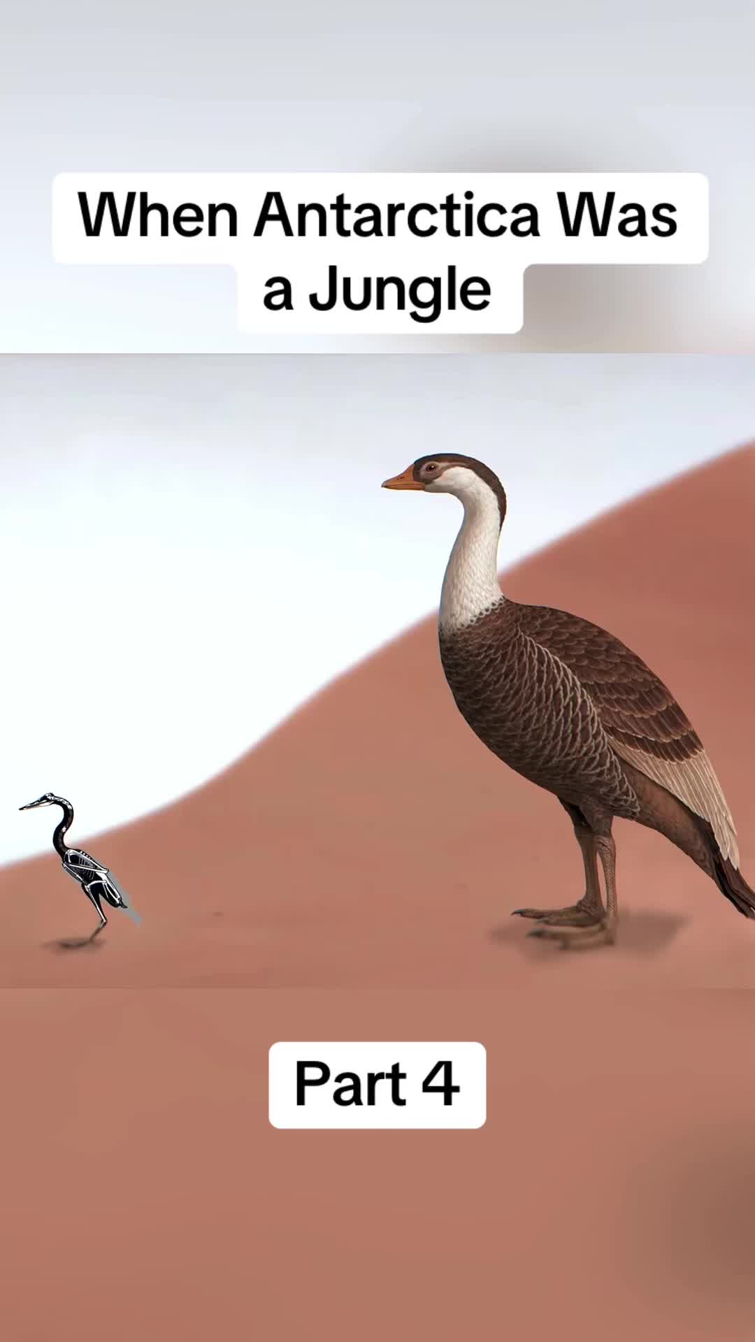 @DonkiGeo