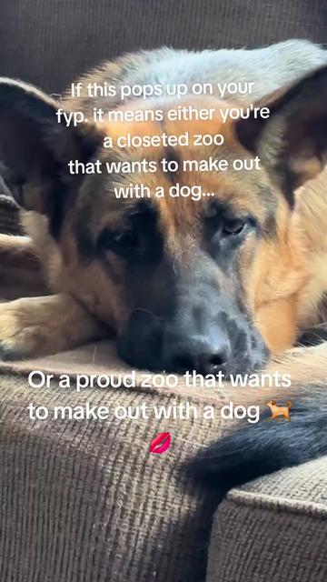 @🦴ZOOMFIE!🦴