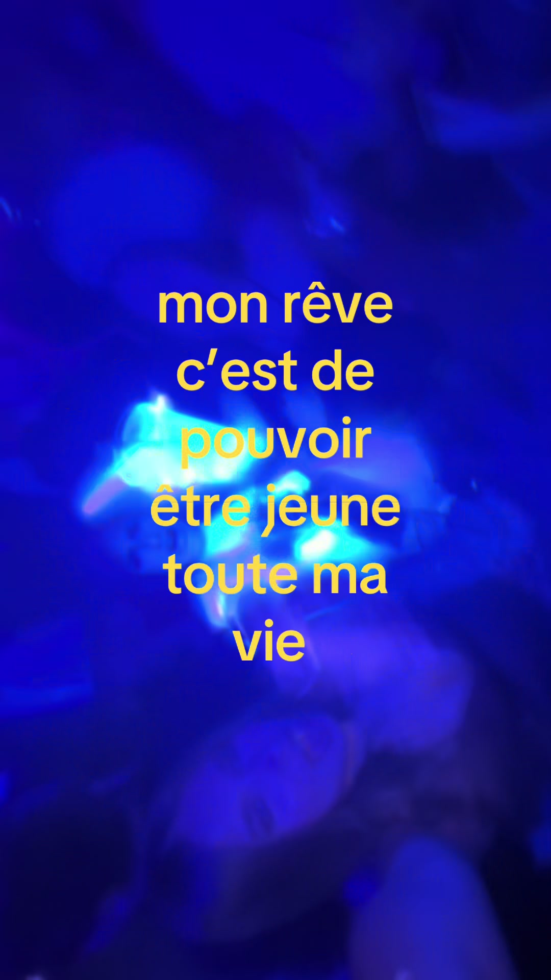 @L A U R Y N E