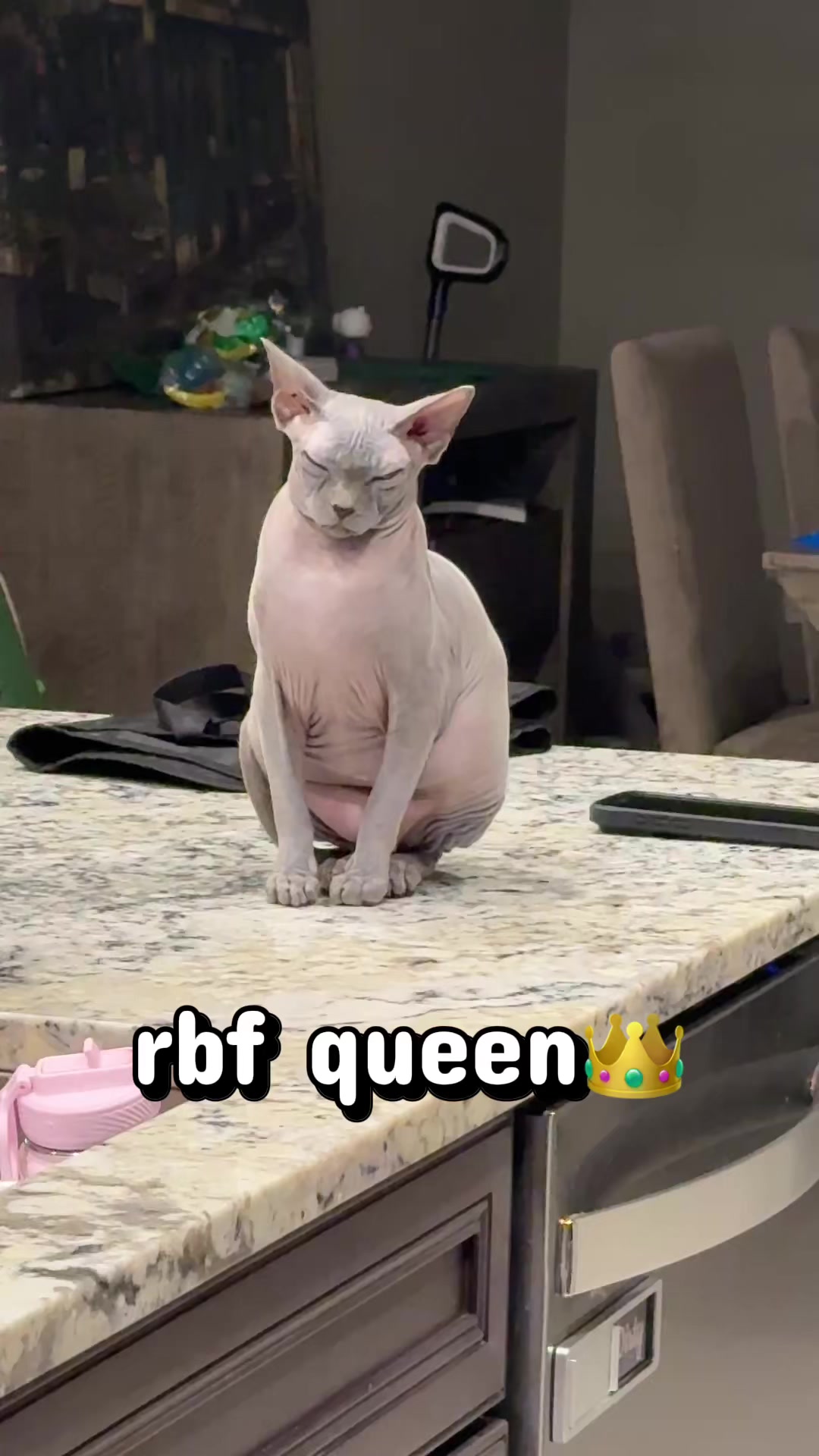 @BomboCats