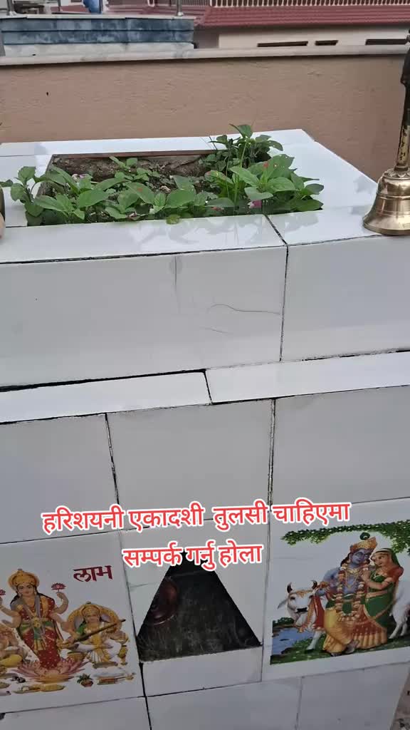 @Mamata Adhikari