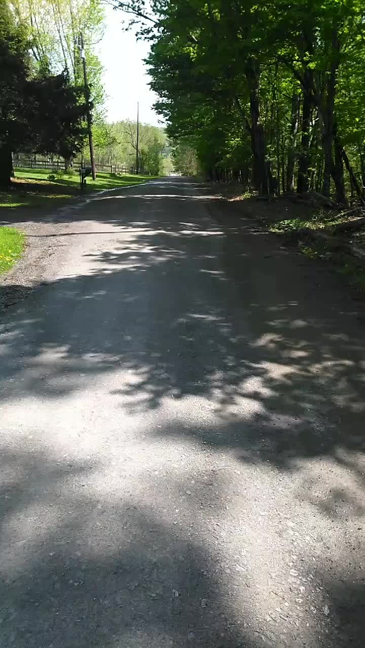 @thegoodnoise11