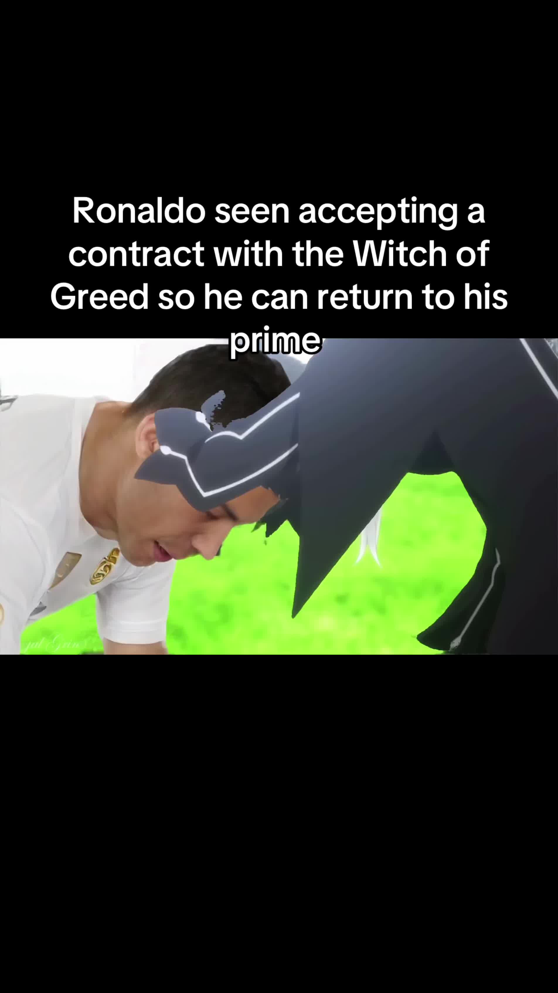 @Milkies/Echidna