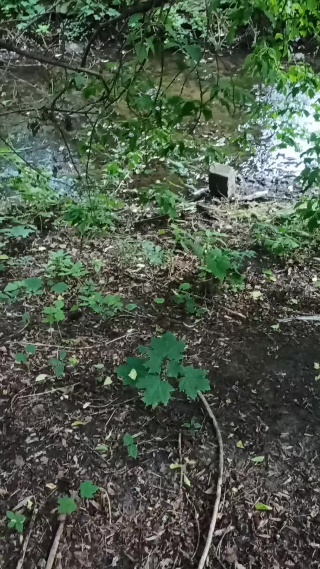 @upadły anioł