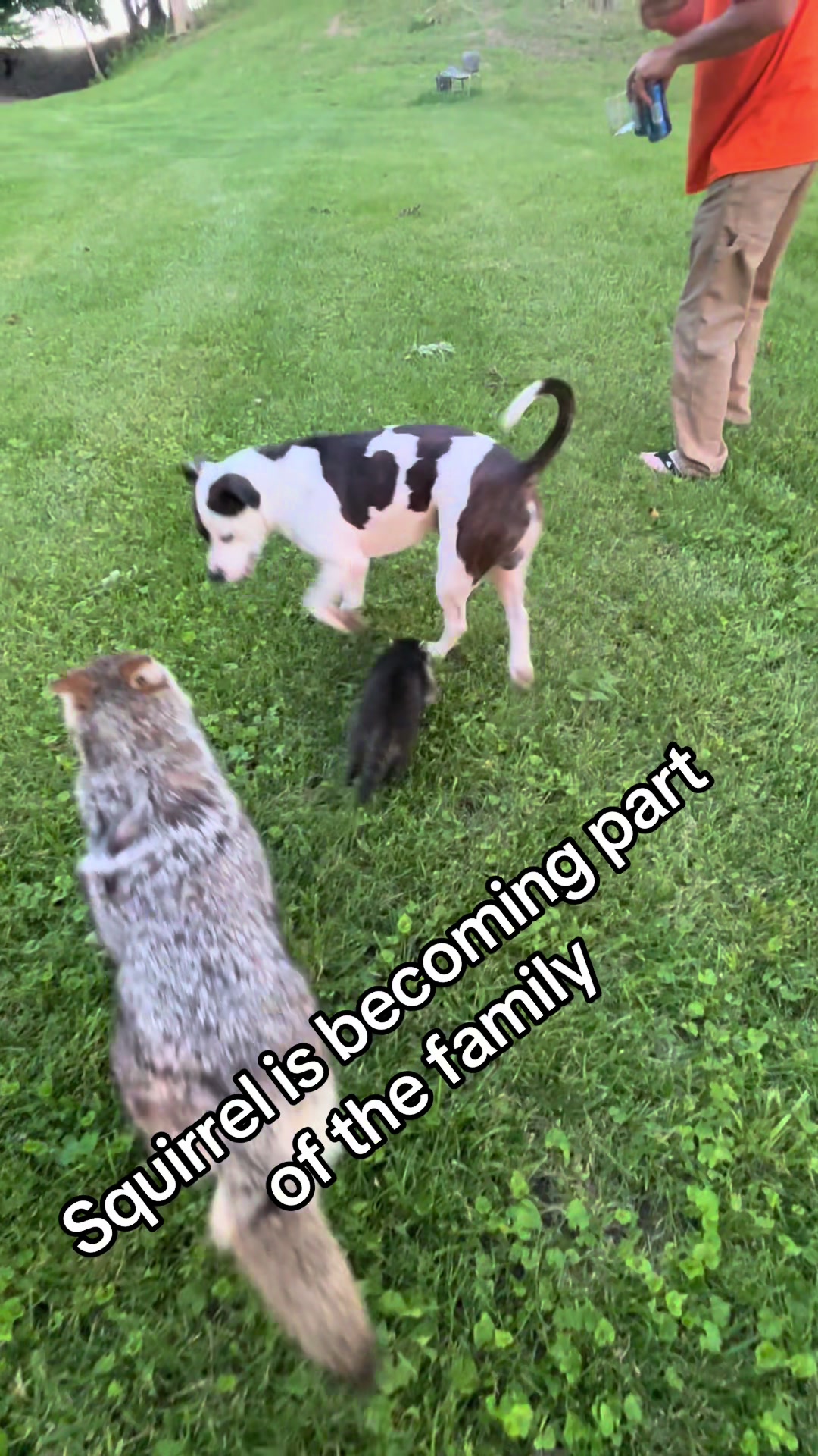 @ittybittyfarm1