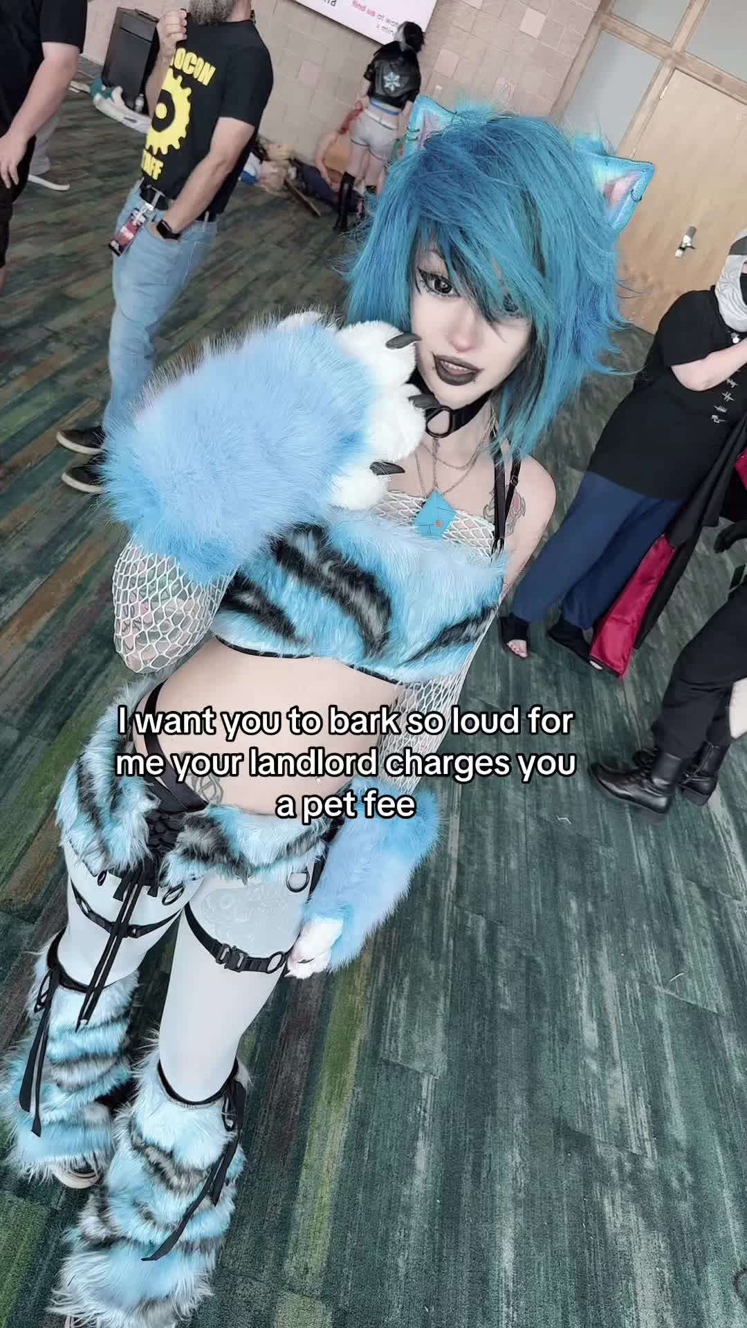 @jelli