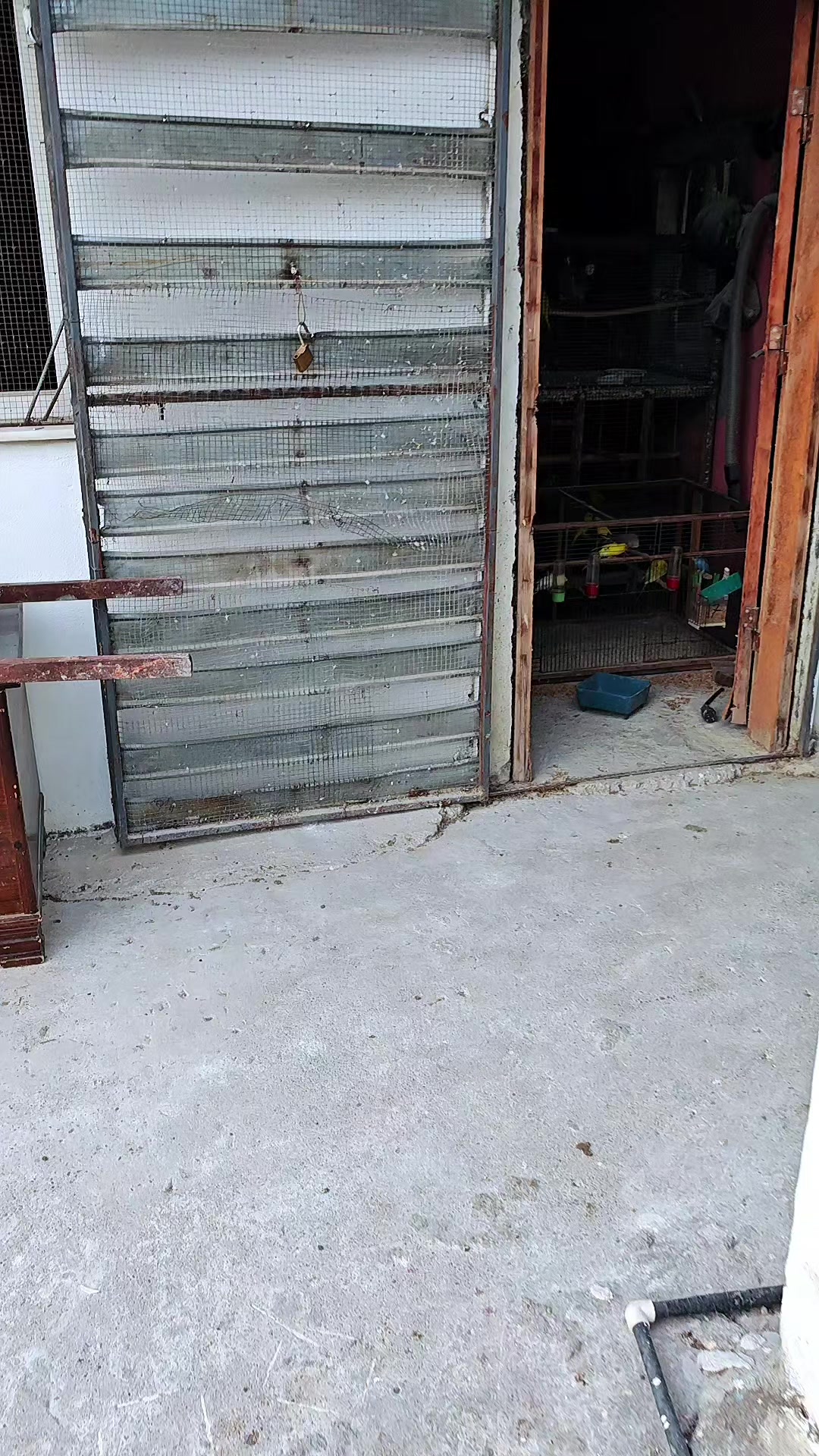@Y&uuml;ksel muhabbet kuşu