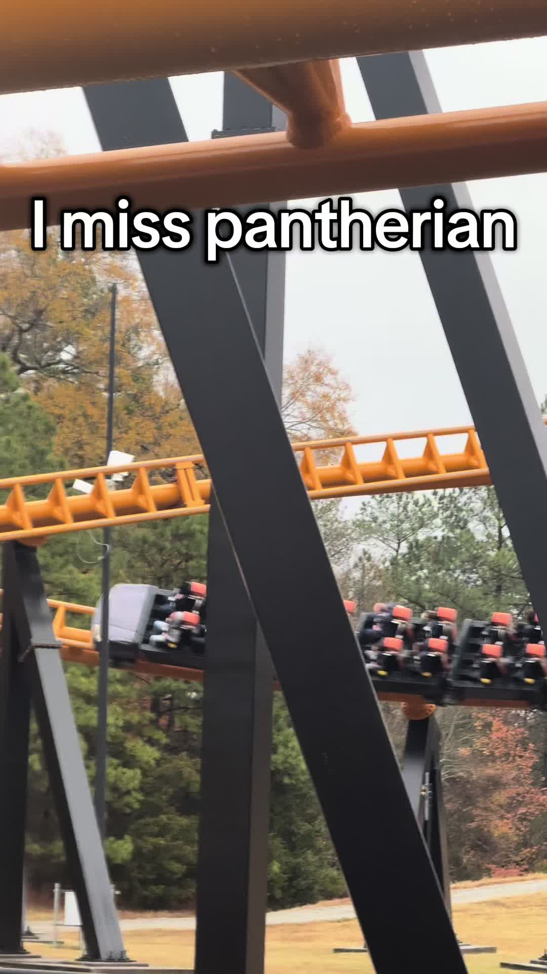 @smthboutrollercoasters