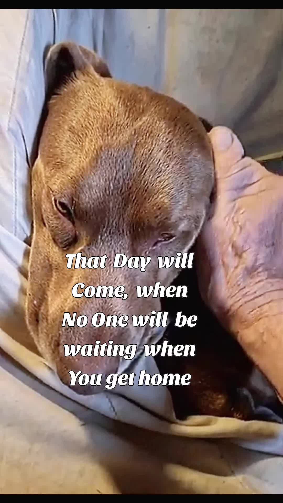 @Garebearboomer!