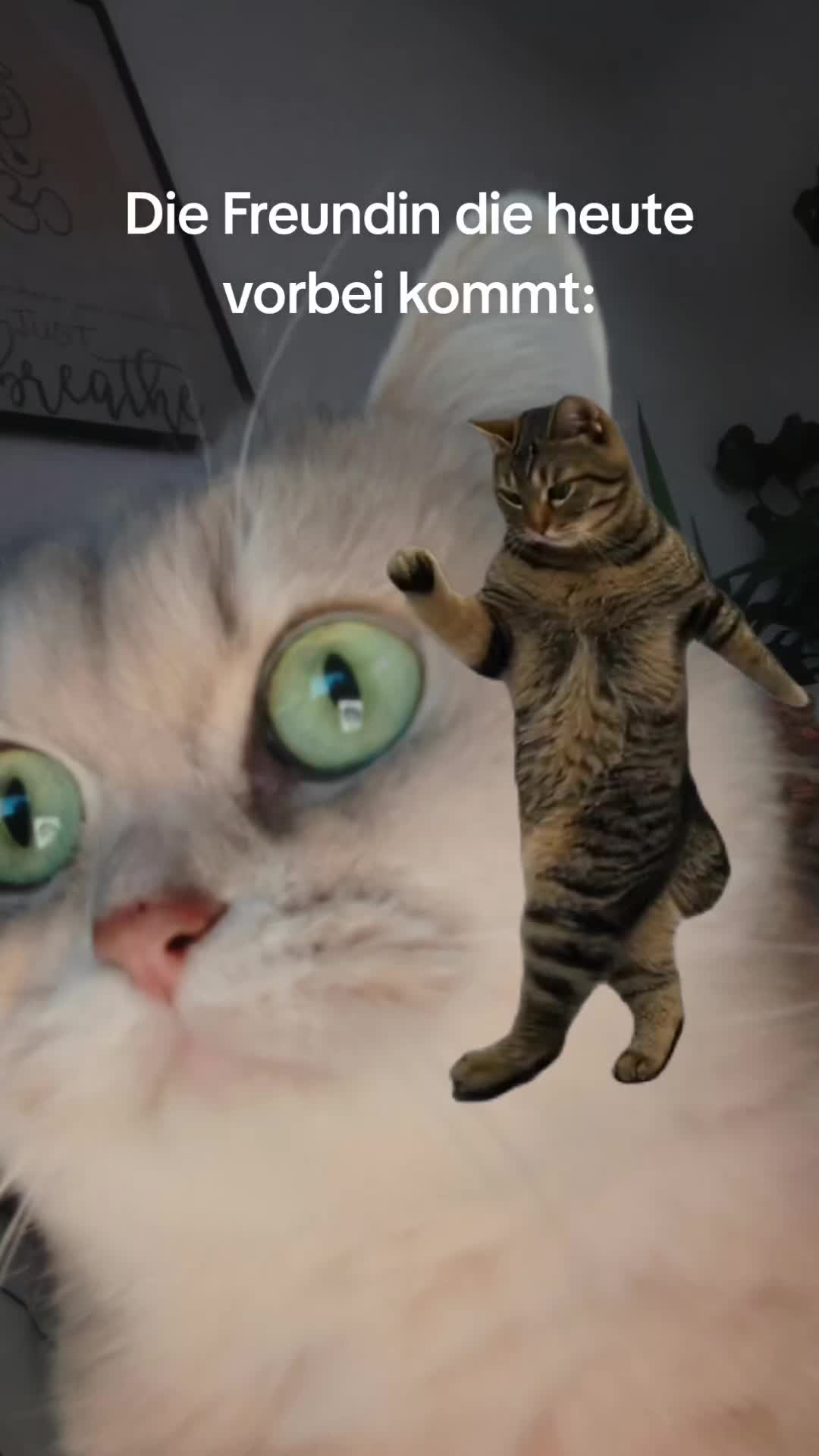 @Nala