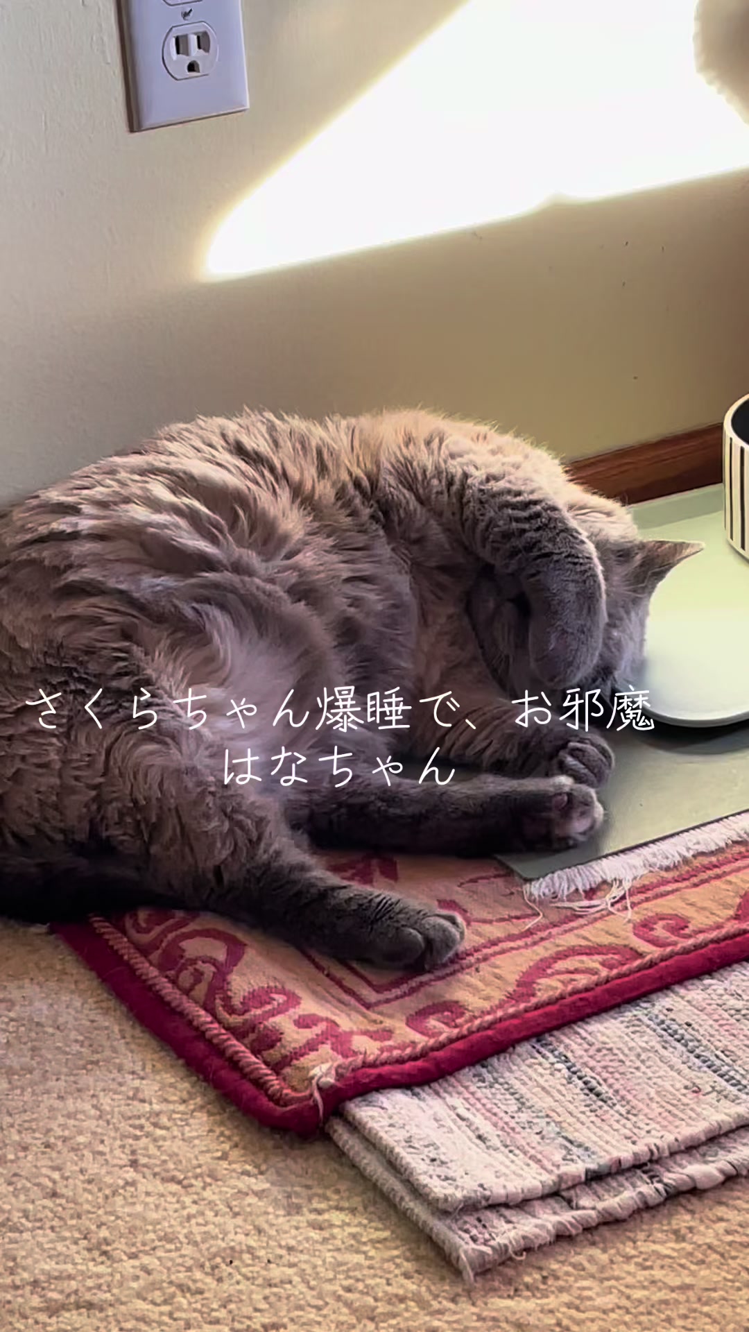 @sakurahana016