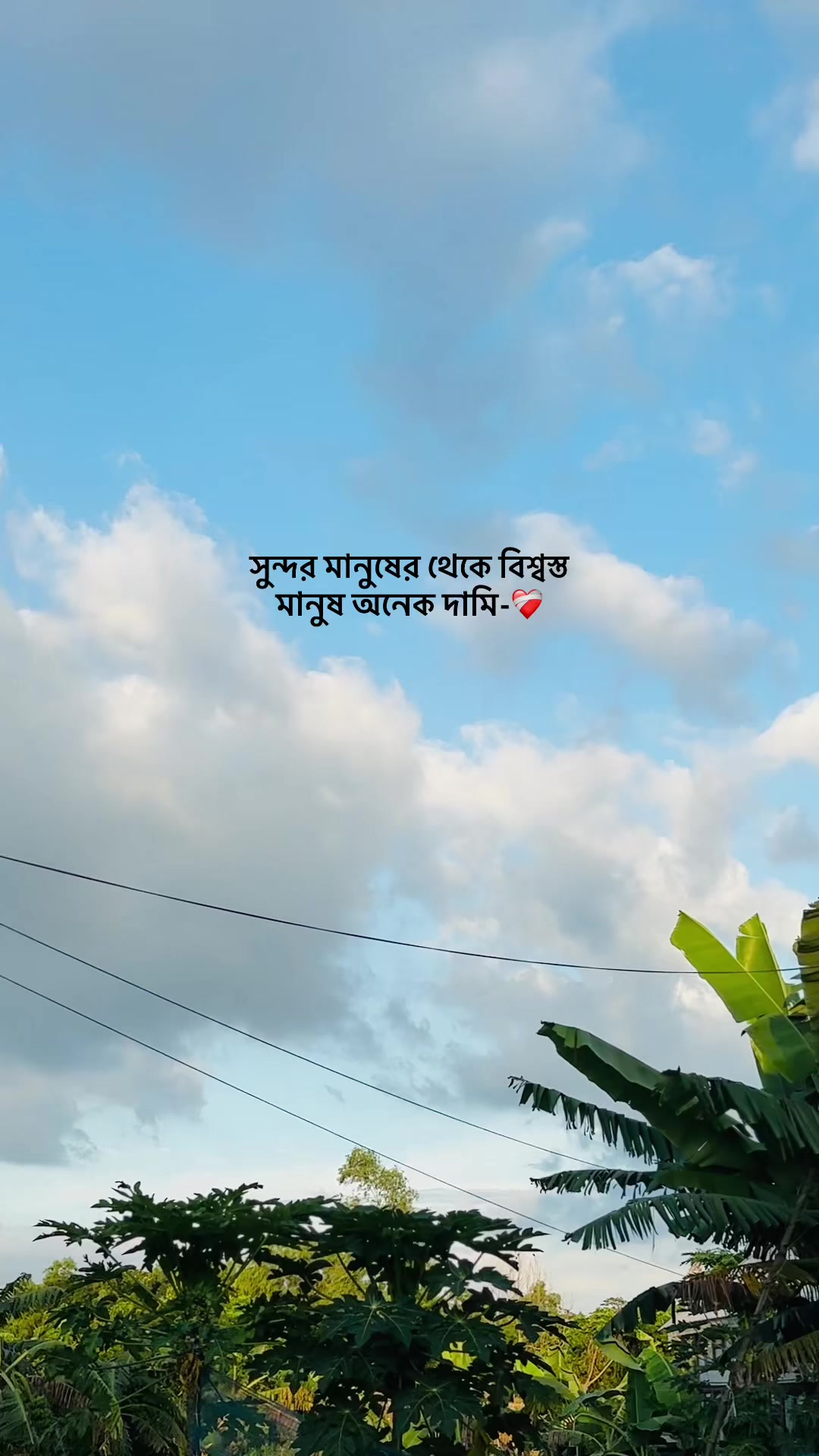@S i F a T đ¸ī¸đī¸