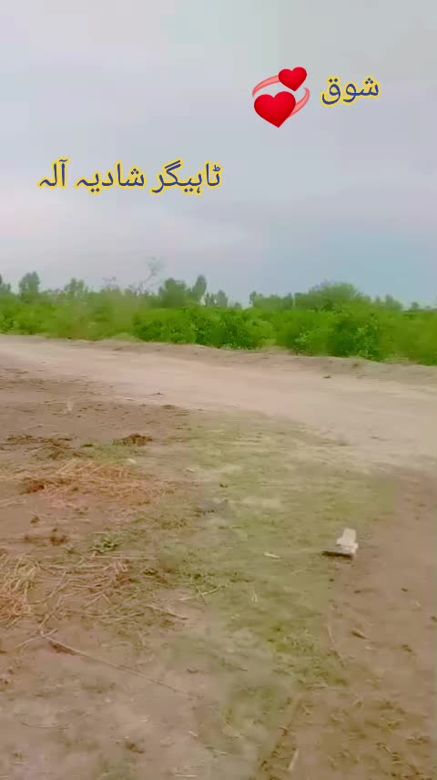@Mushtaq Ahmad