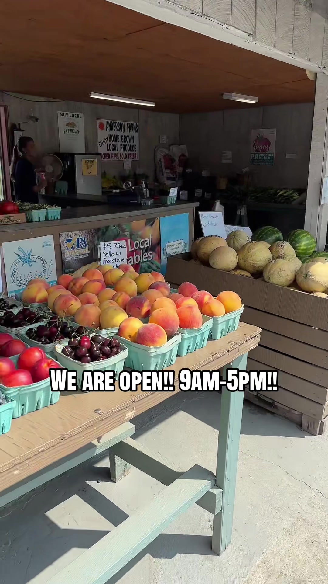 @Anderson Farms