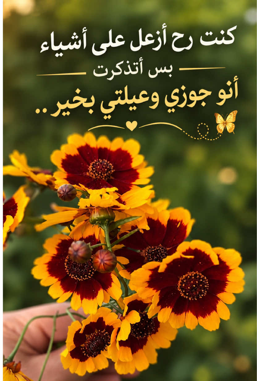 @Arîno25Om