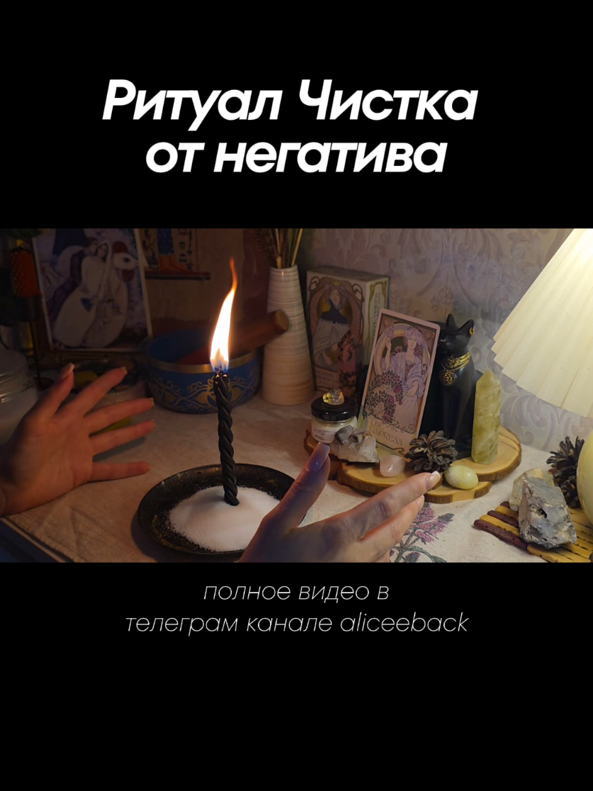 @aliceeback ~ магия жизни