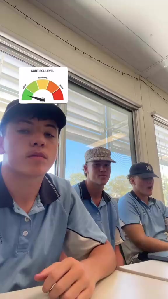 @beanbagboys.67