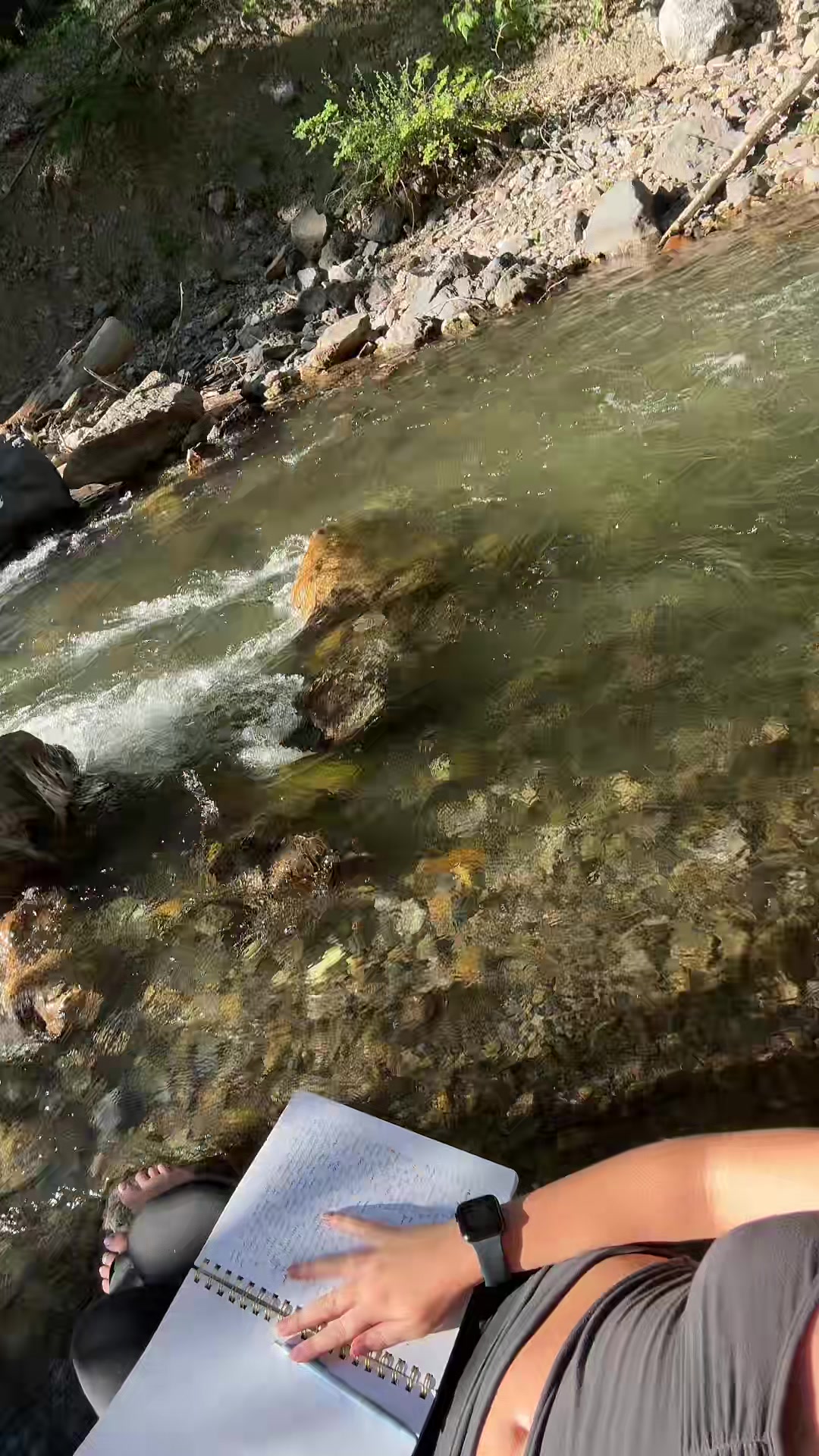 @grygry