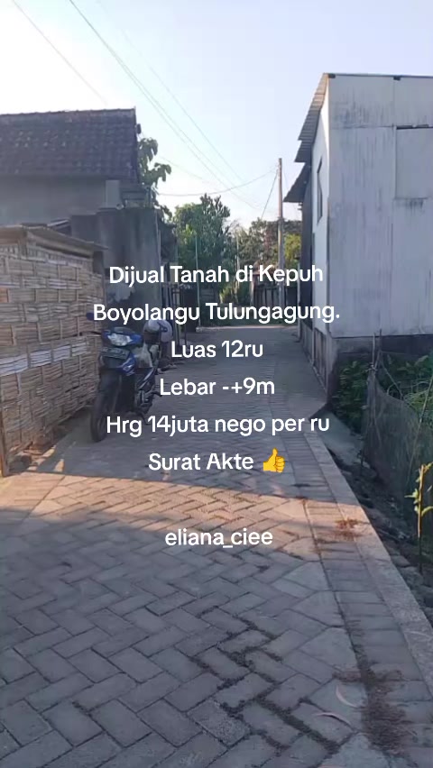 @eliana
