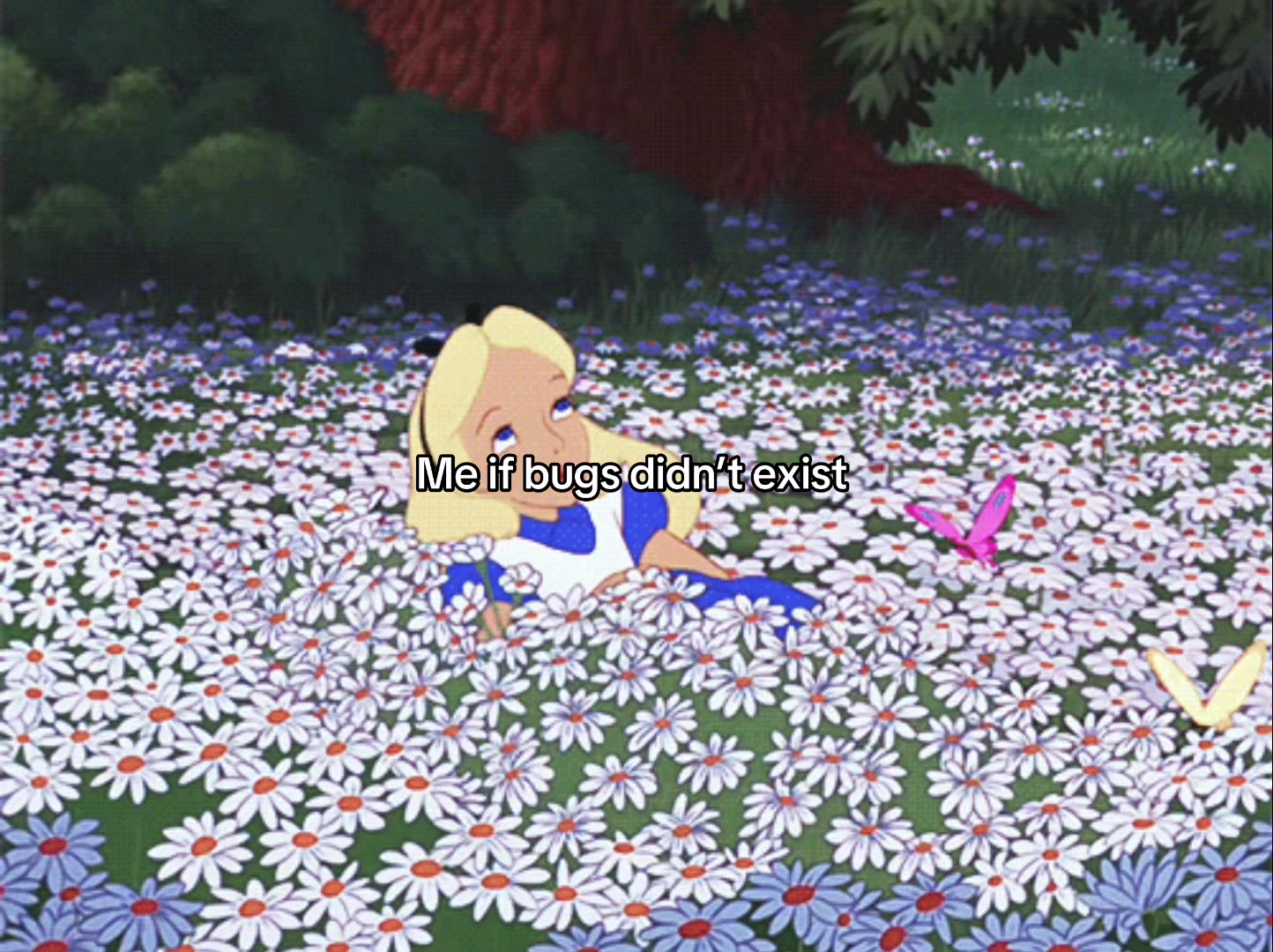 @𝔡𝔞𝔯𝔬𝔞𝔨𝔢𝔫