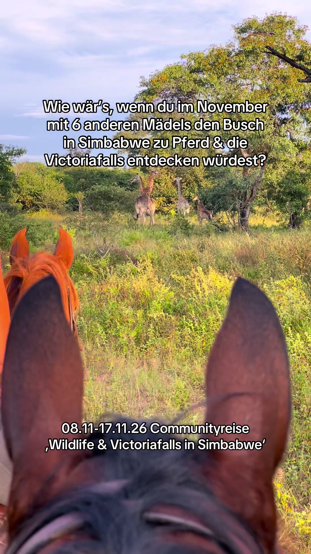 @Hoof & Travel 🐴🌍🐘