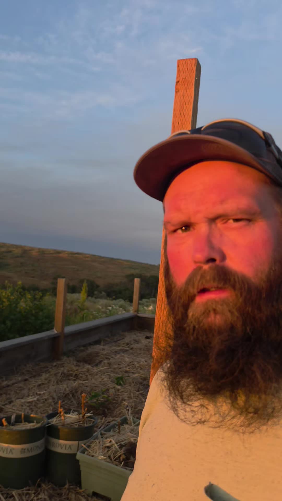@thebeardedfamily1