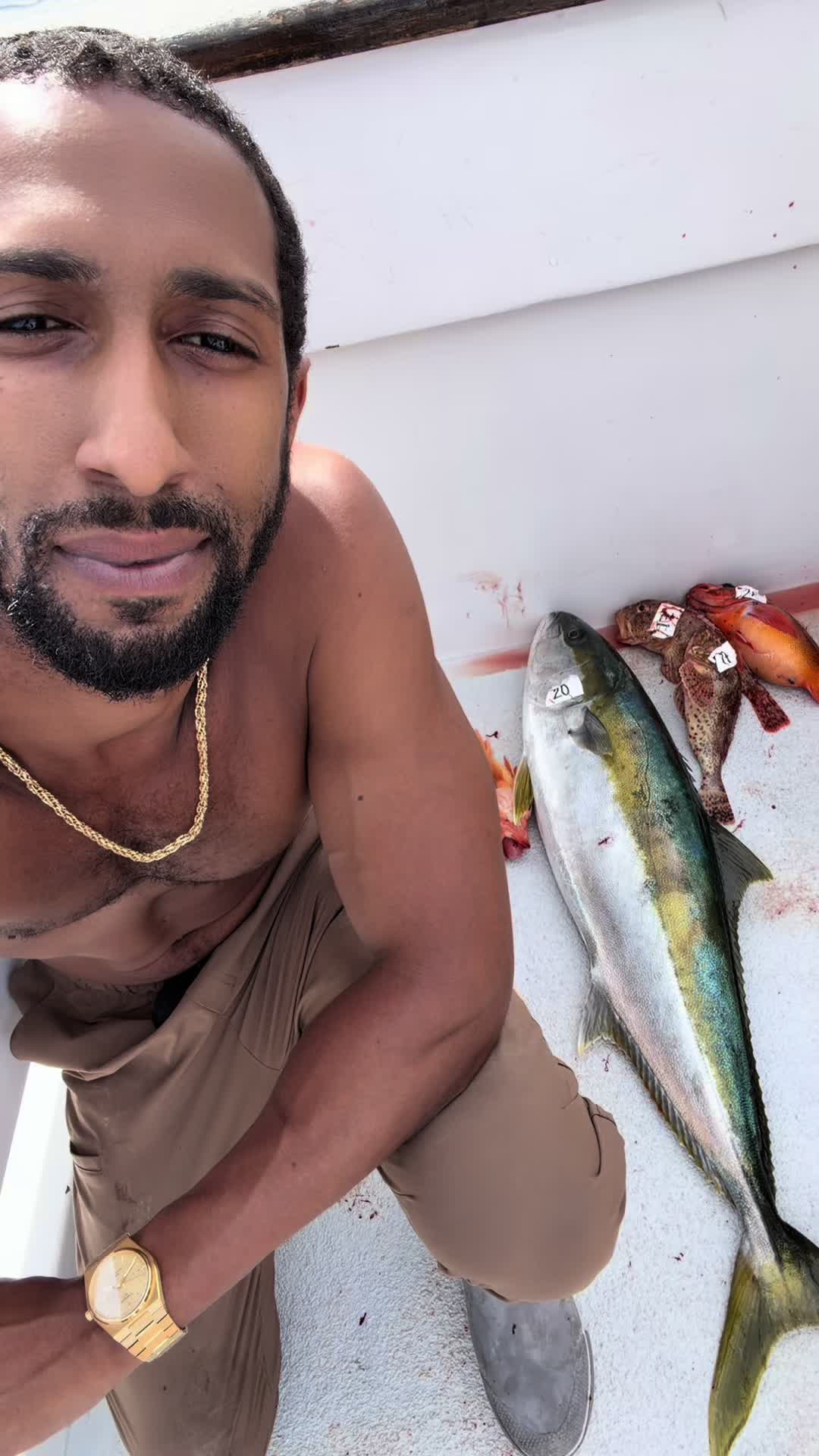 @blackhamachi