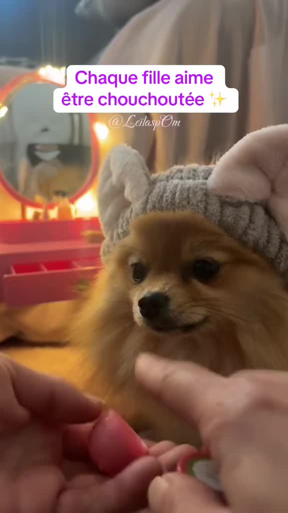 @🎀Leïla’spOm🎀