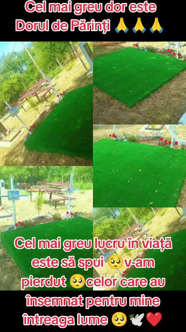 @Ala Bucur