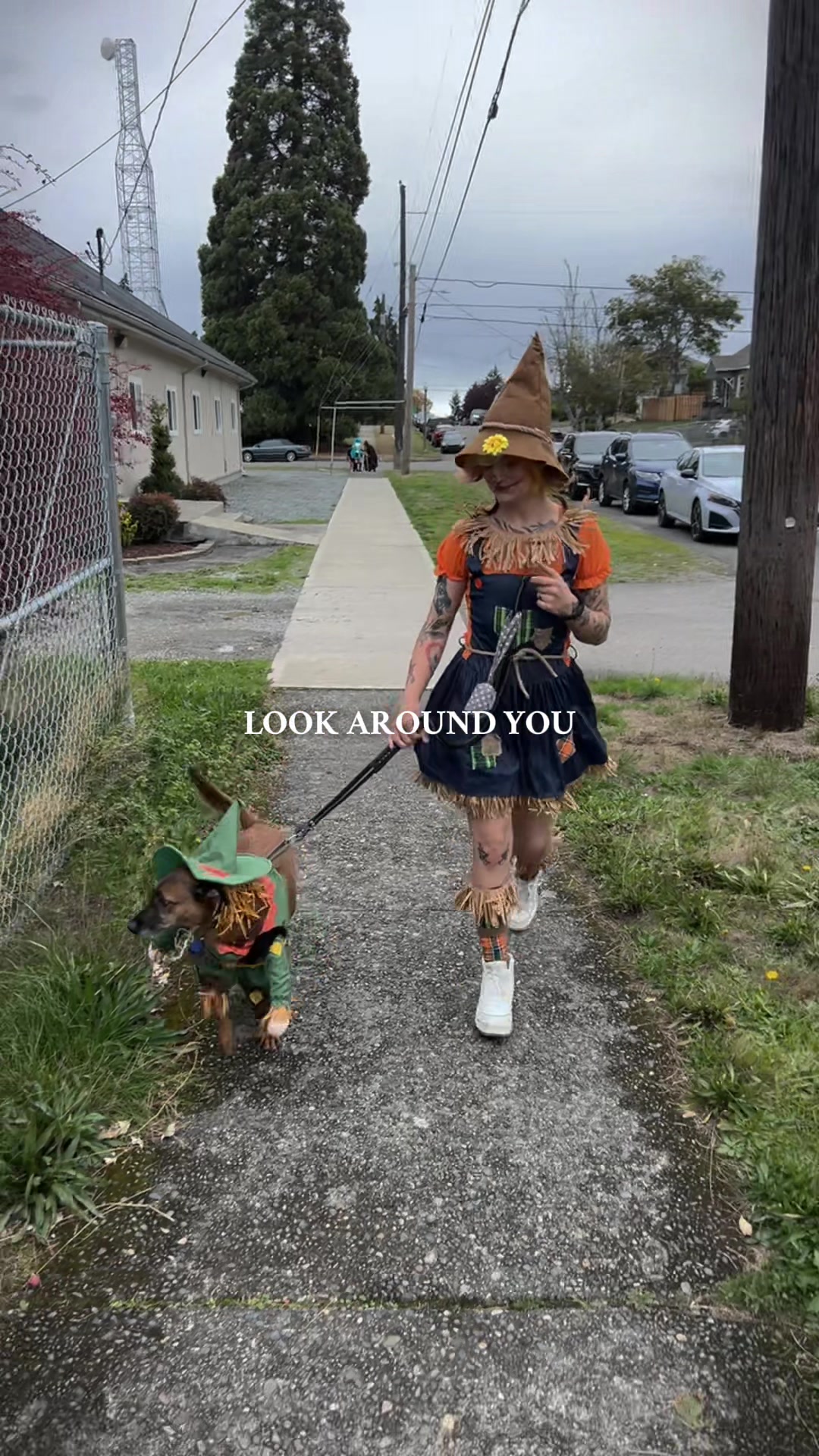 @ThemRedneckEmos