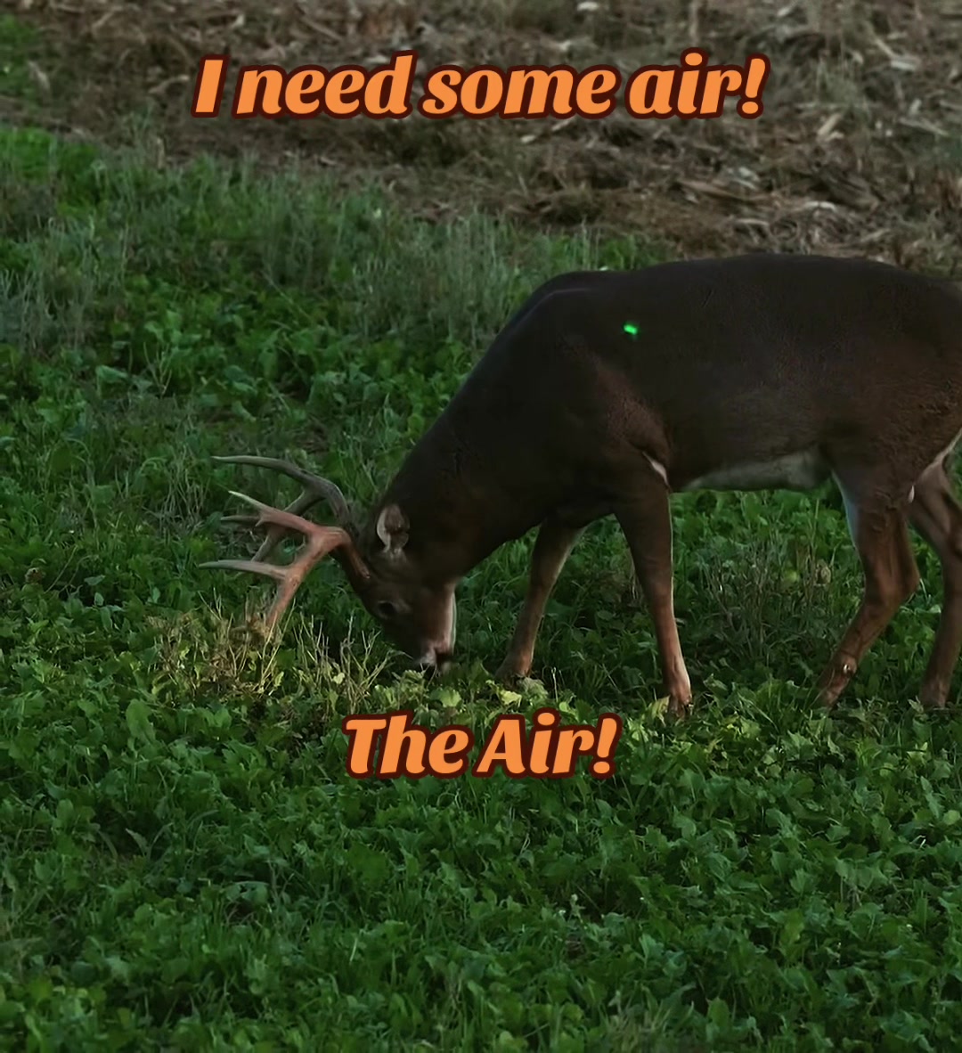 @🦌 Megabucks Outdoors 🦌