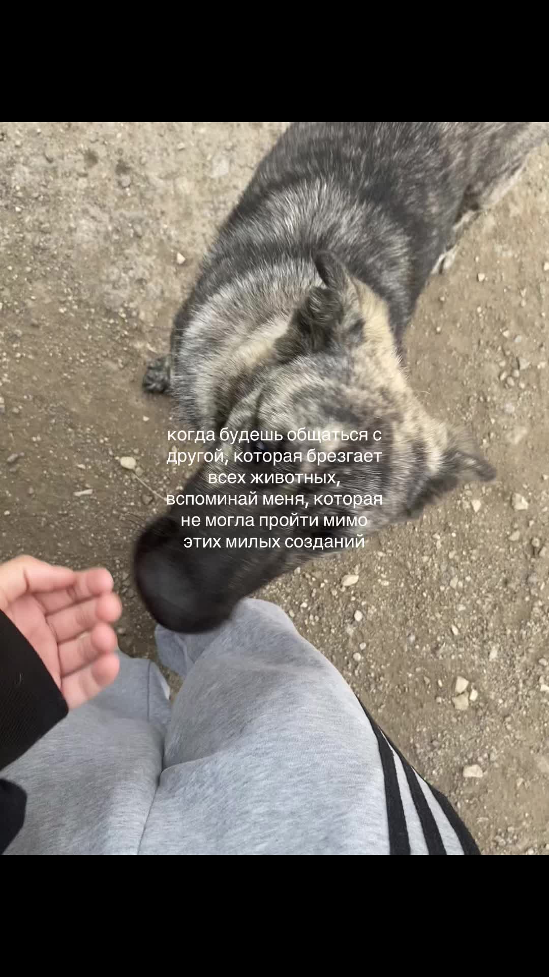 @yulixss♻️