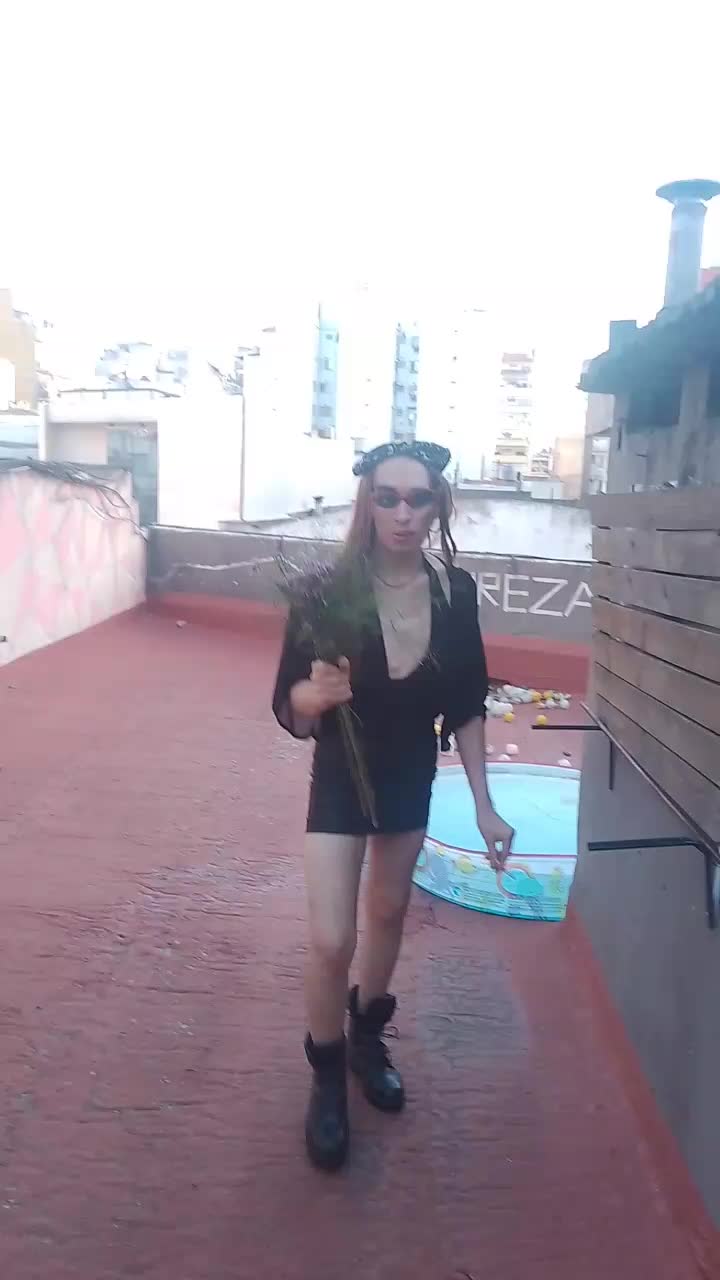 @alex