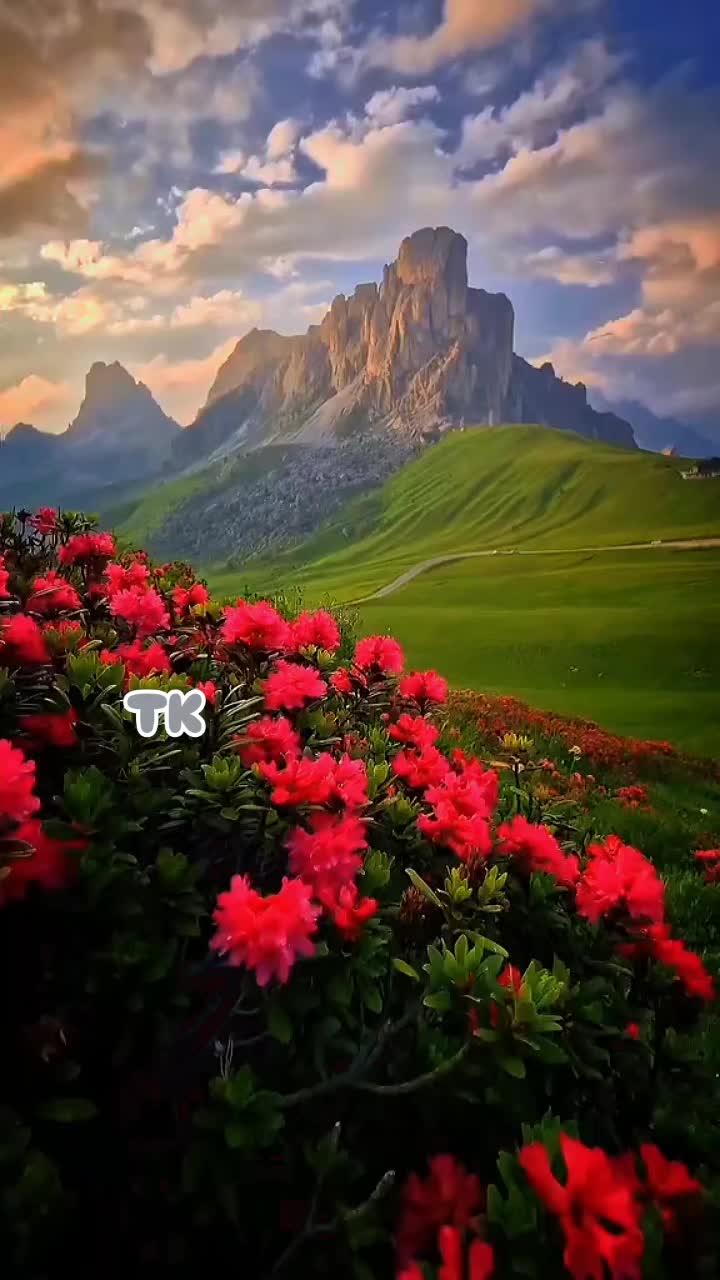 @❤️ TK ❤️