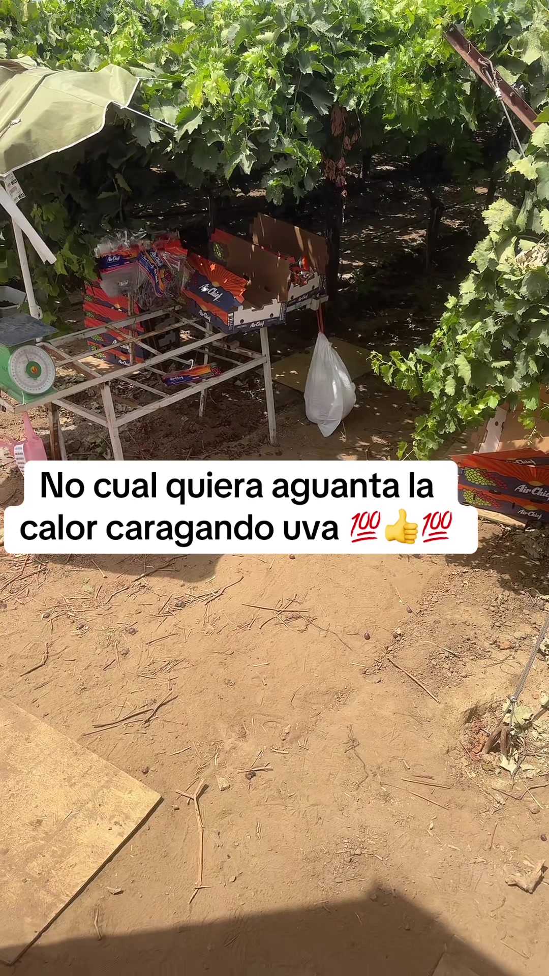 @Corita.s550