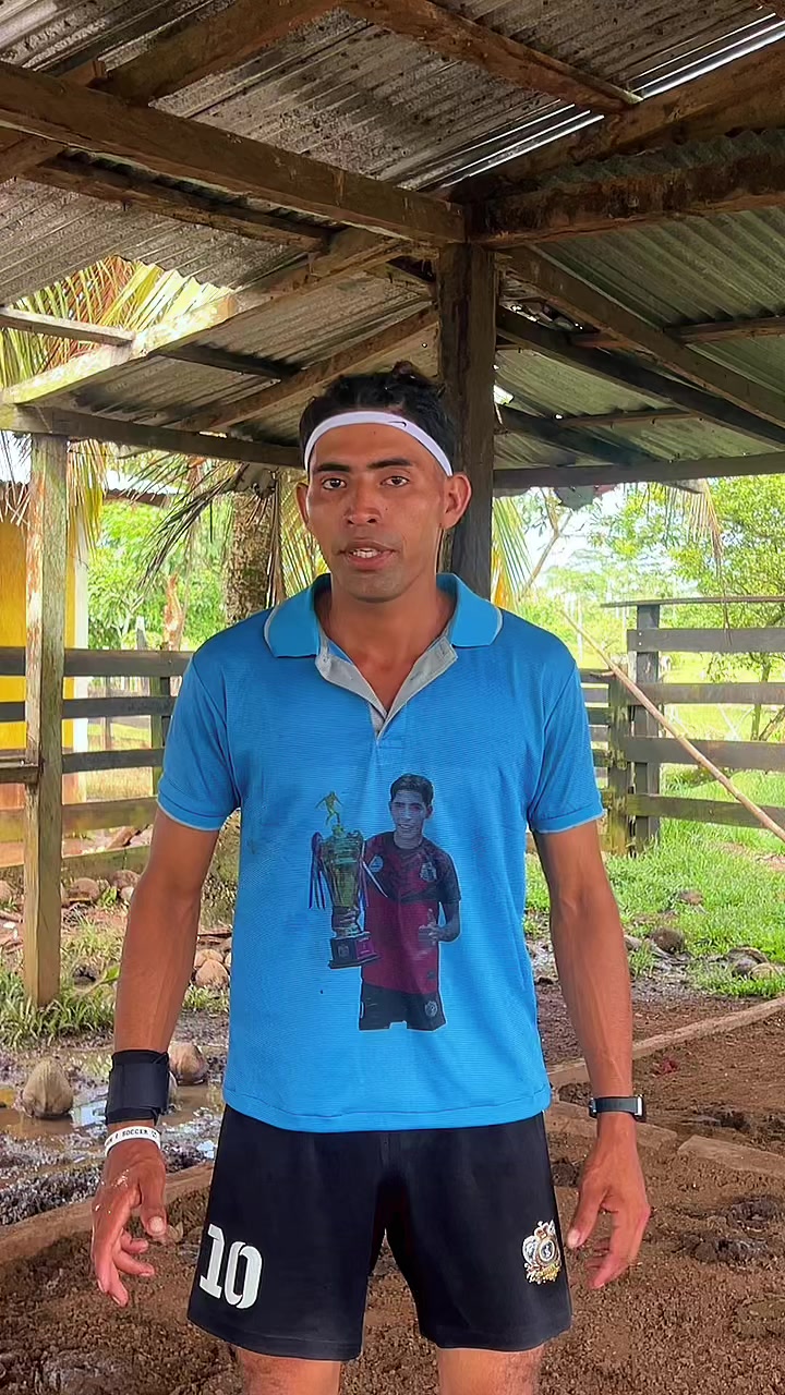 @elix Días