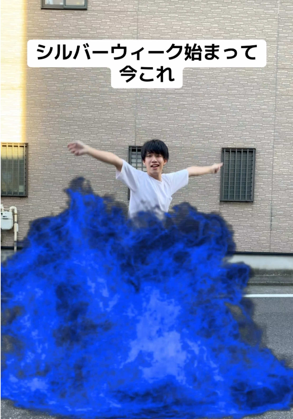 @かめきち🤗(Kamekichi)