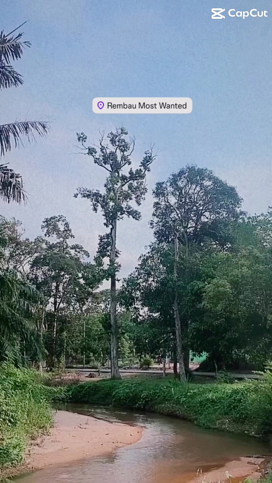 @WarongBusoko 2.0