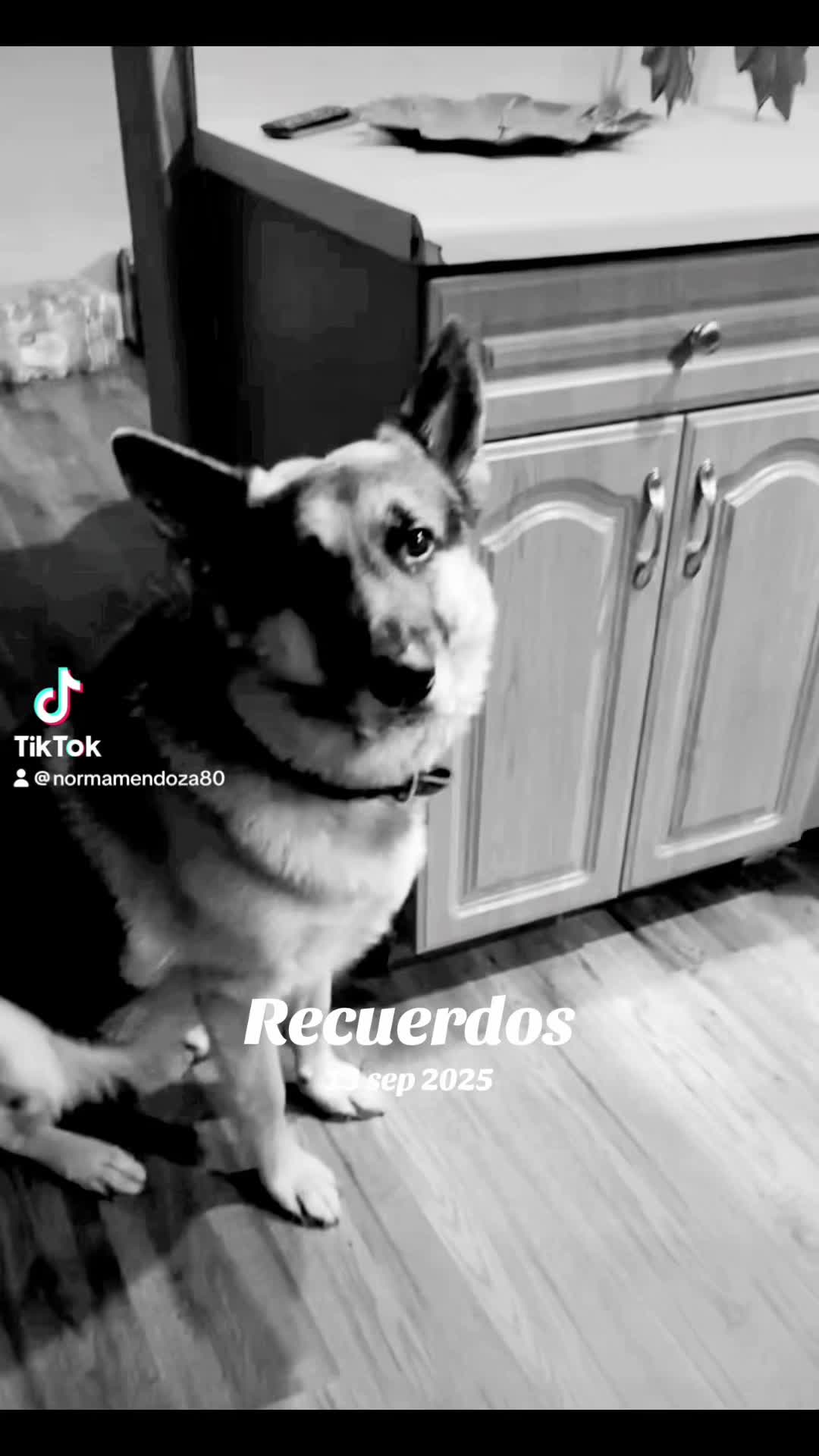 @mendozagarcia49