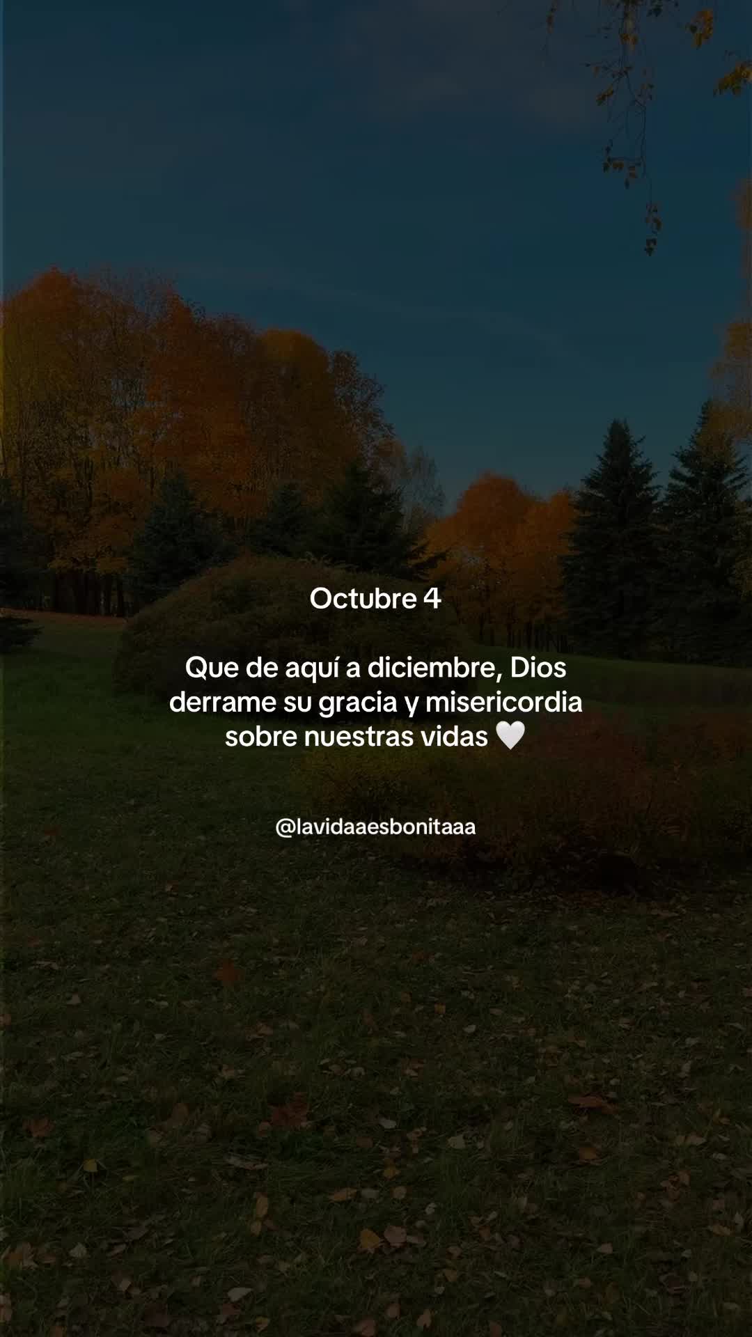 @vidabonita❤️&zwj;🩹