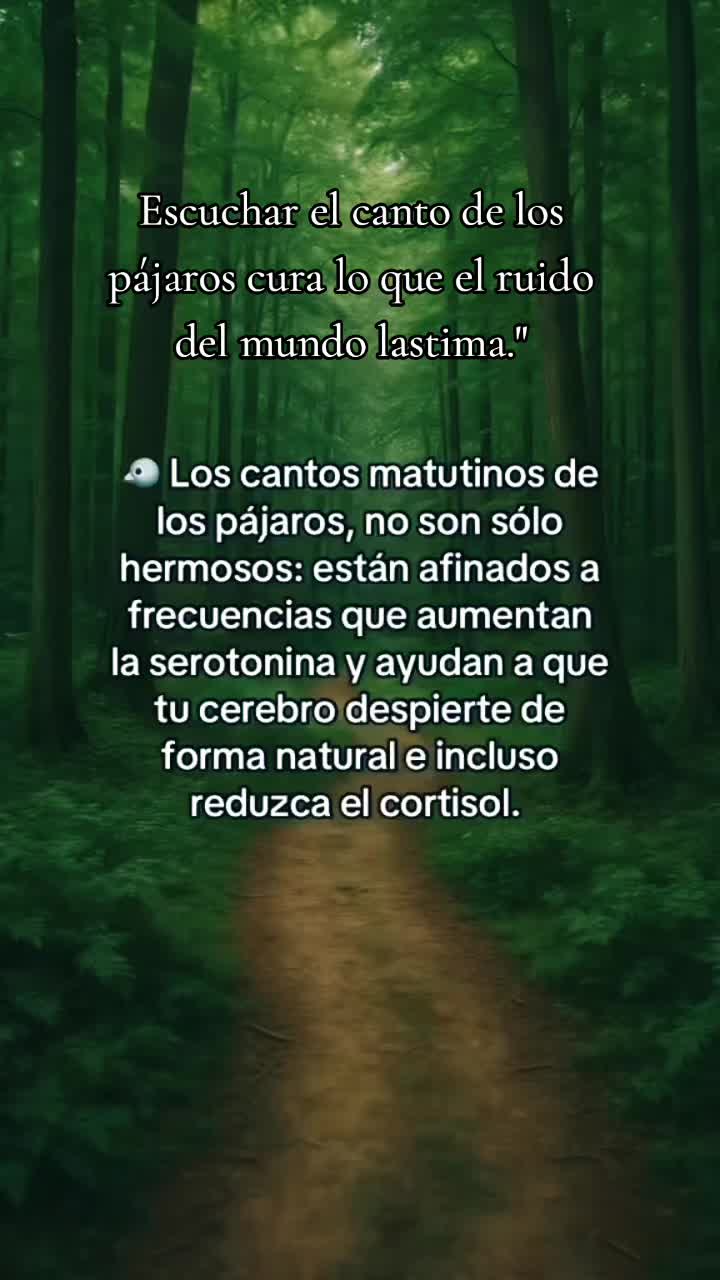@Sueños de Mariposa 🦋