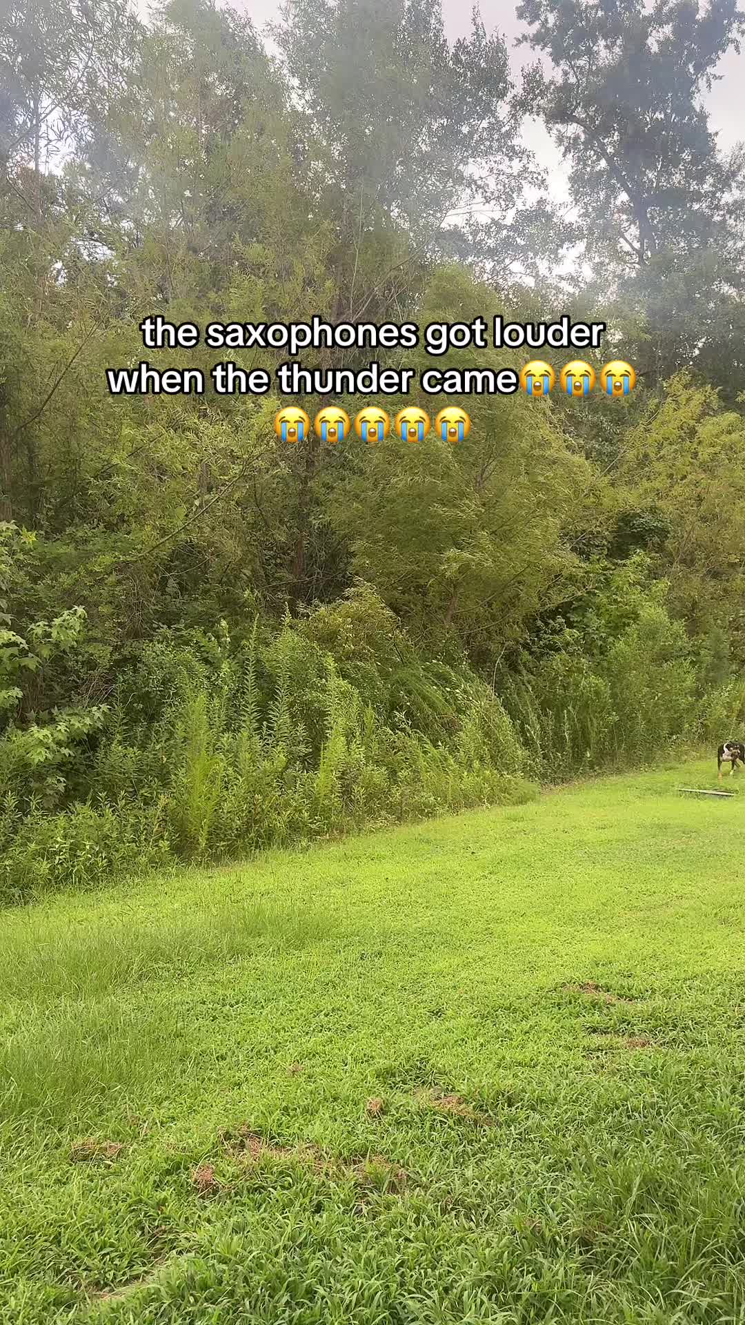 @wadajada