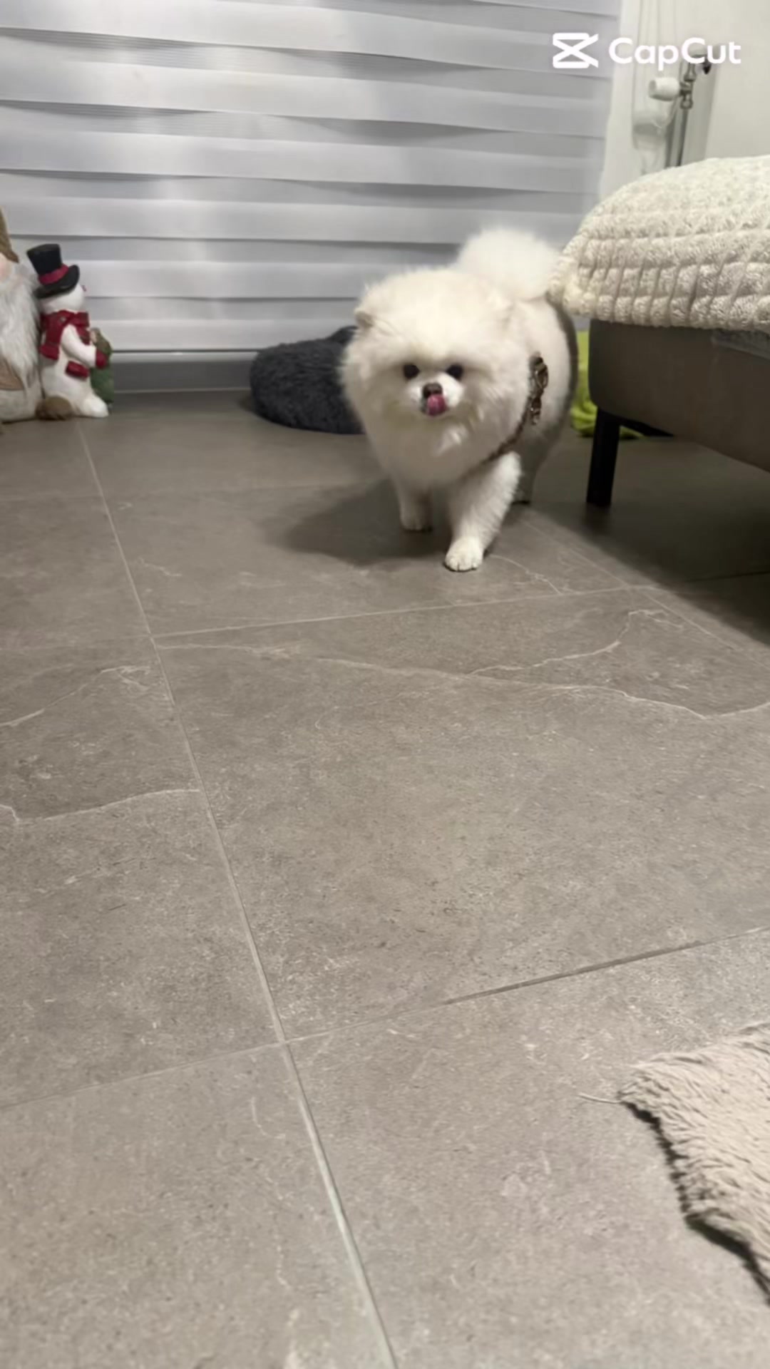@SᗩIᗪᗩ♡