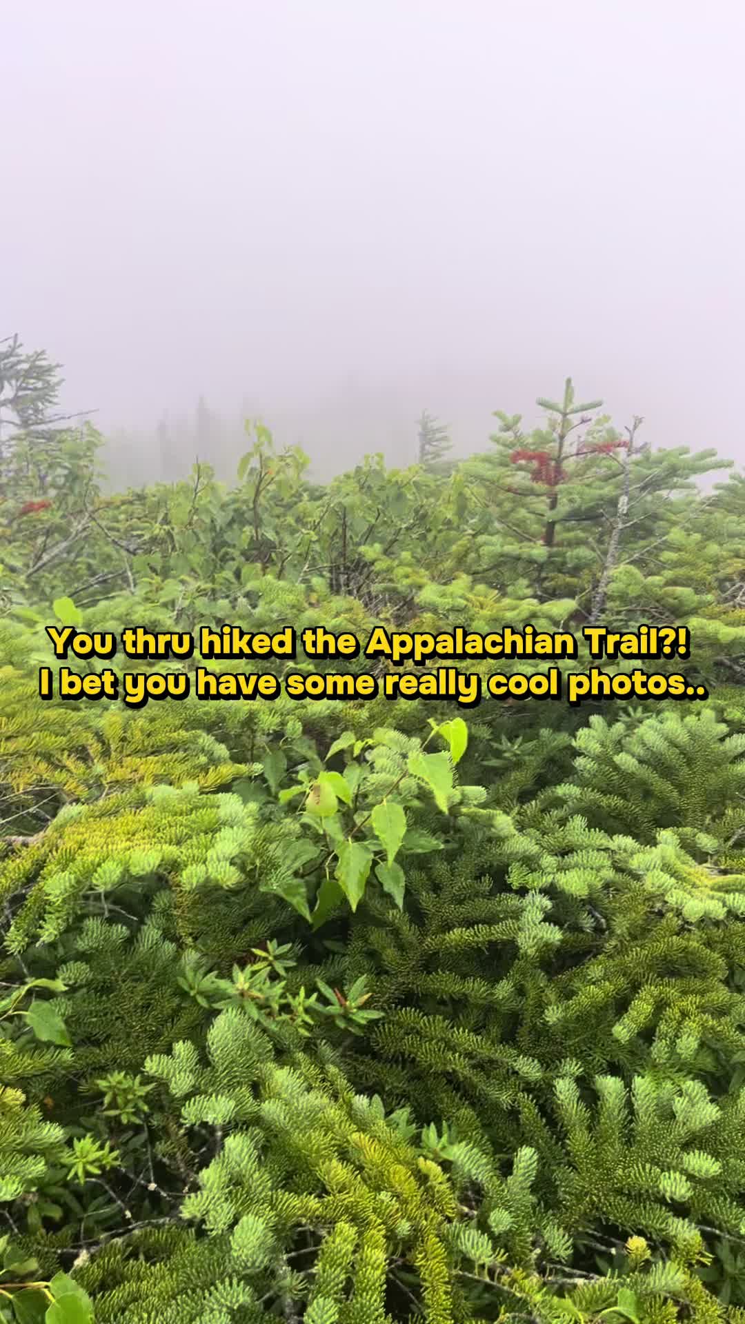 @trail bob
