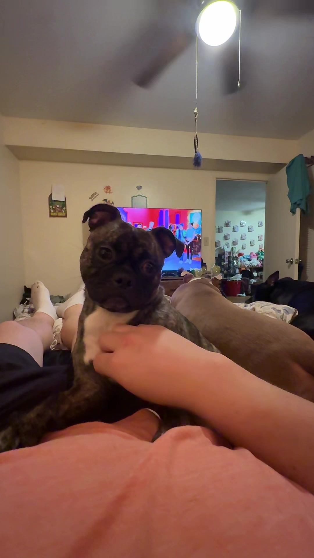 @GinRhino