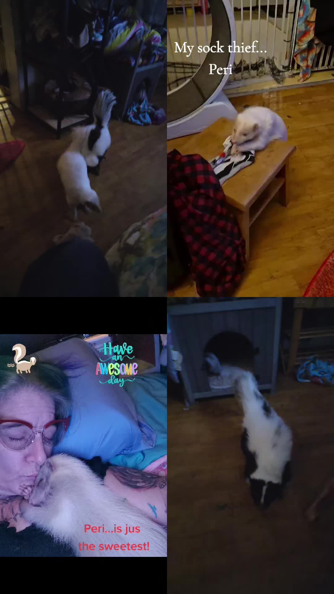 @Eva Marie (artist/skunk mom)