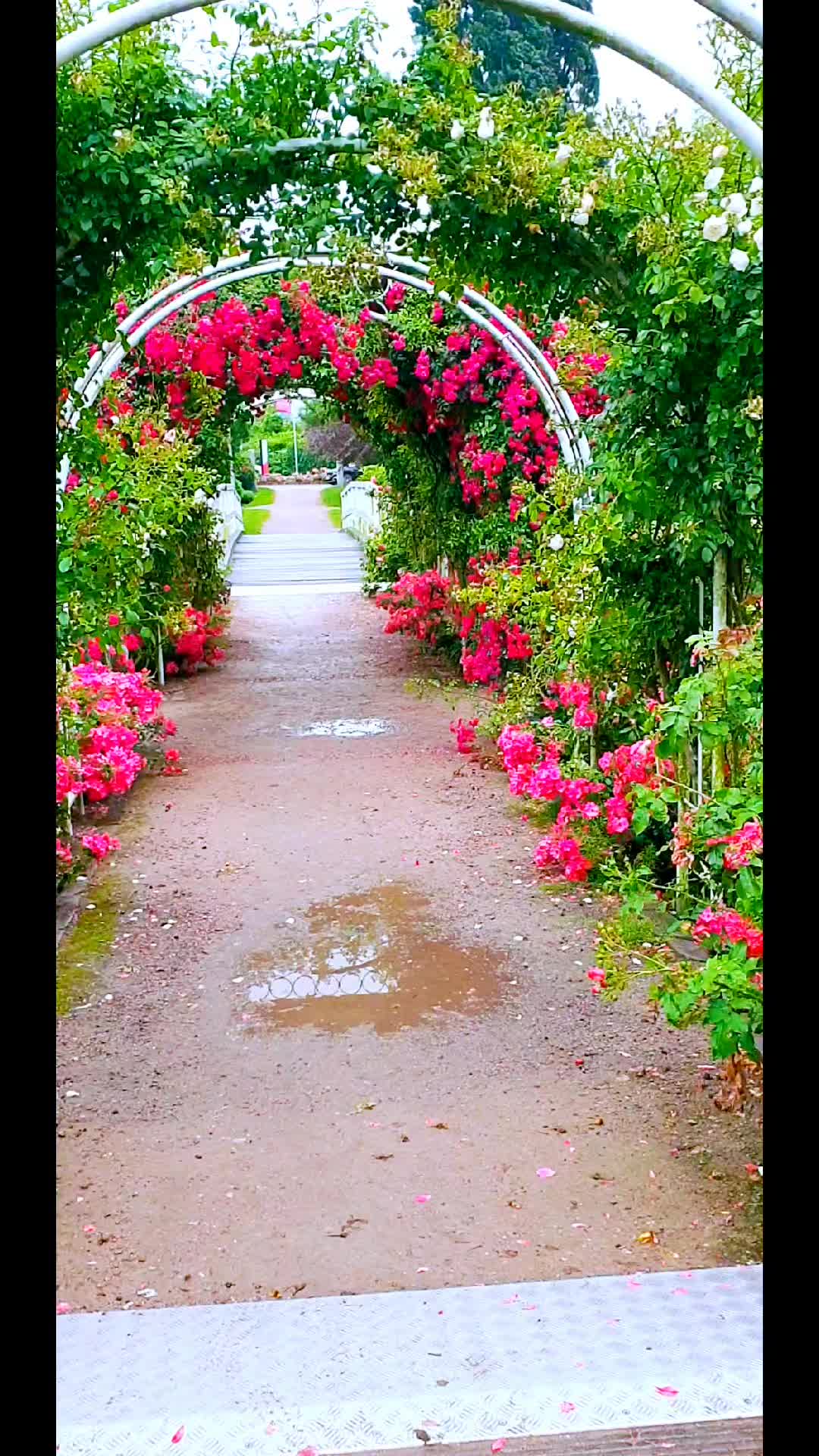 @شبهای تنهایی