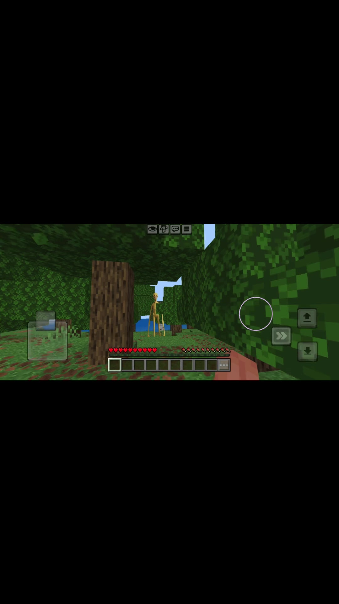 @Yolo aventuras fan💕