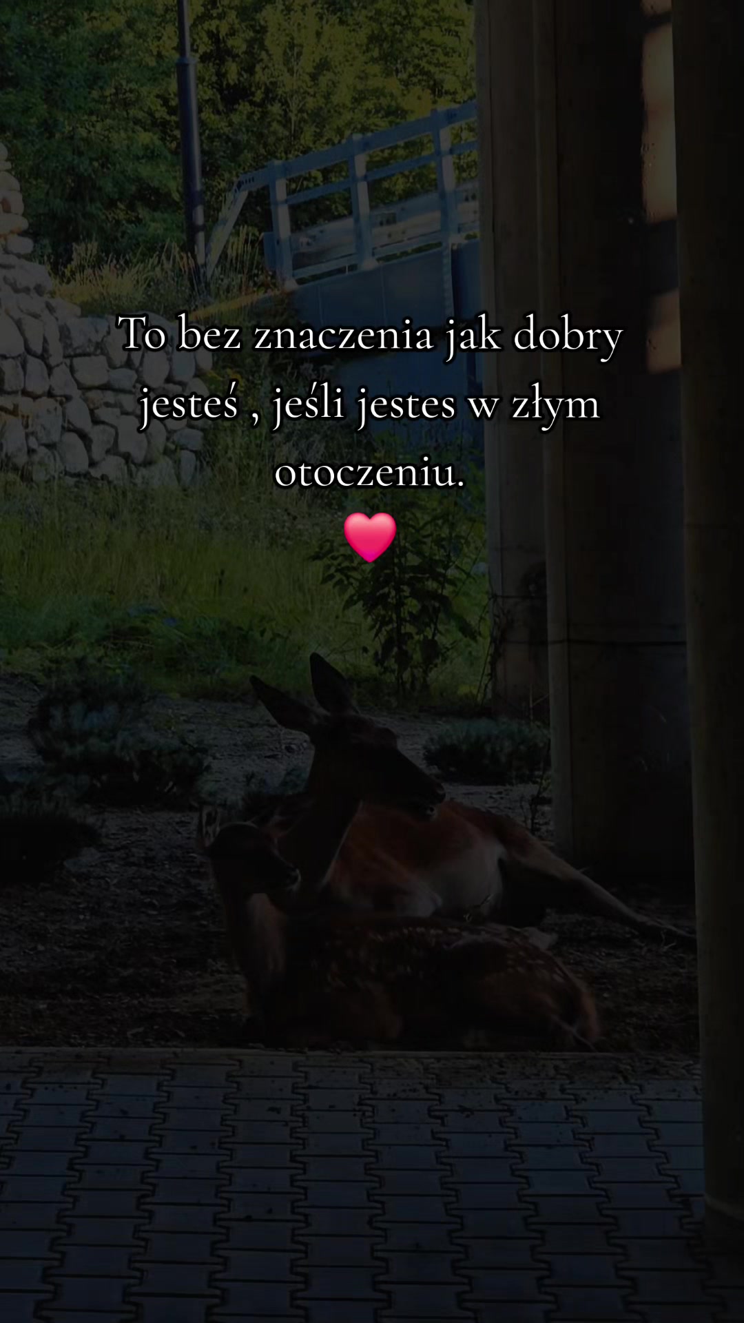 @Liśćpędziwiatr