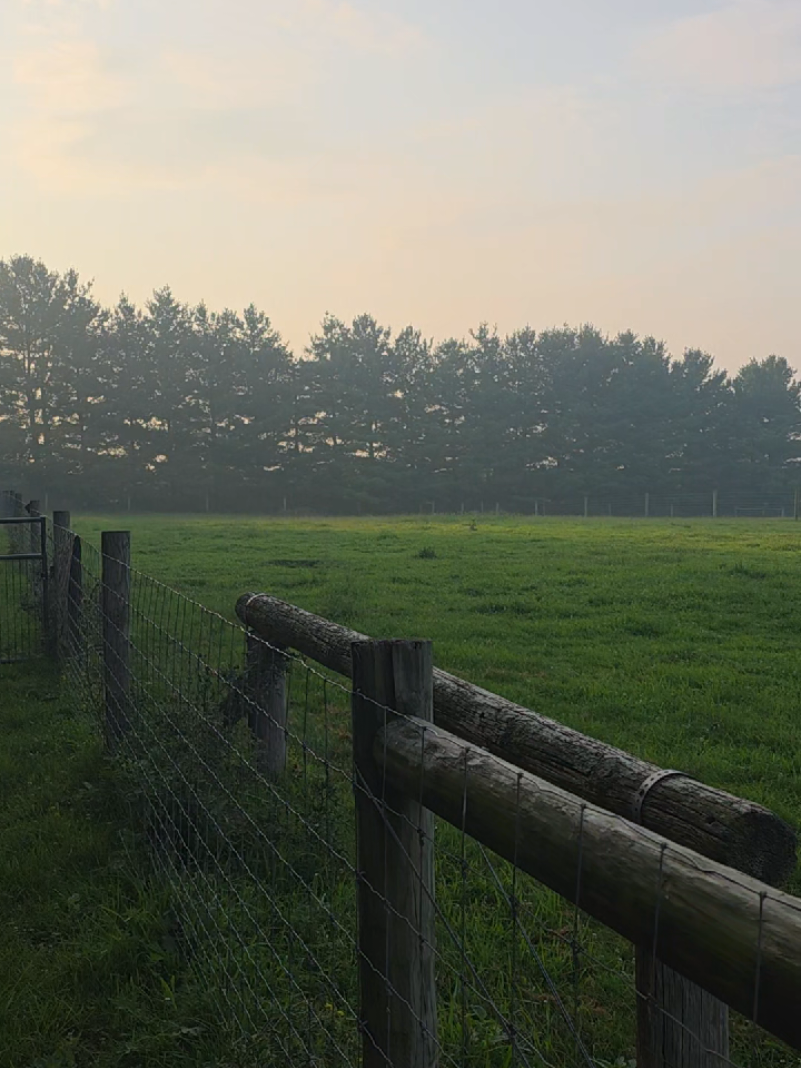 @HarmonyHillFarmSanct